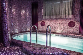 Diamond Prywatny Basen & Sauna Apartament Poznań